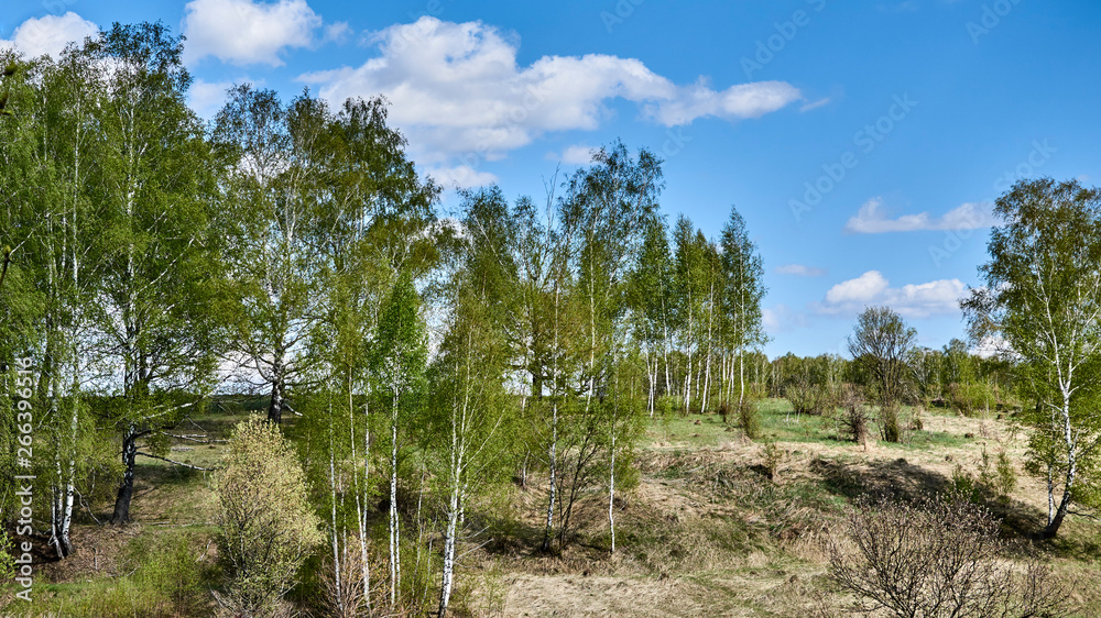 Fototapeta premium Russia. Spasskoe-Lutovinovo. Museum-estate of Ivan Turgenev. Panorama from Spassky pond to the South-East