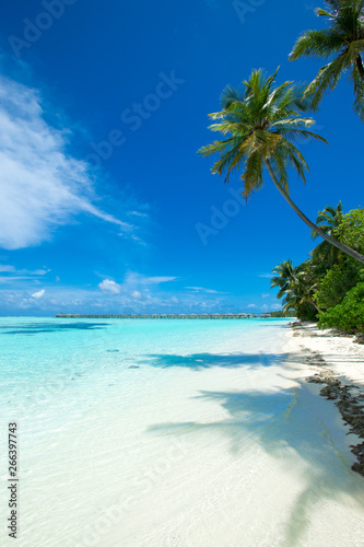 Beautiful tropical Maldives island with beach   sea   and blue sky for nature holiday vacation background concept