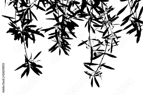 Abstrakt Olivenzweige - schwarz weiß 