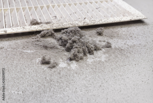 Dust collected from the air duct filter.
