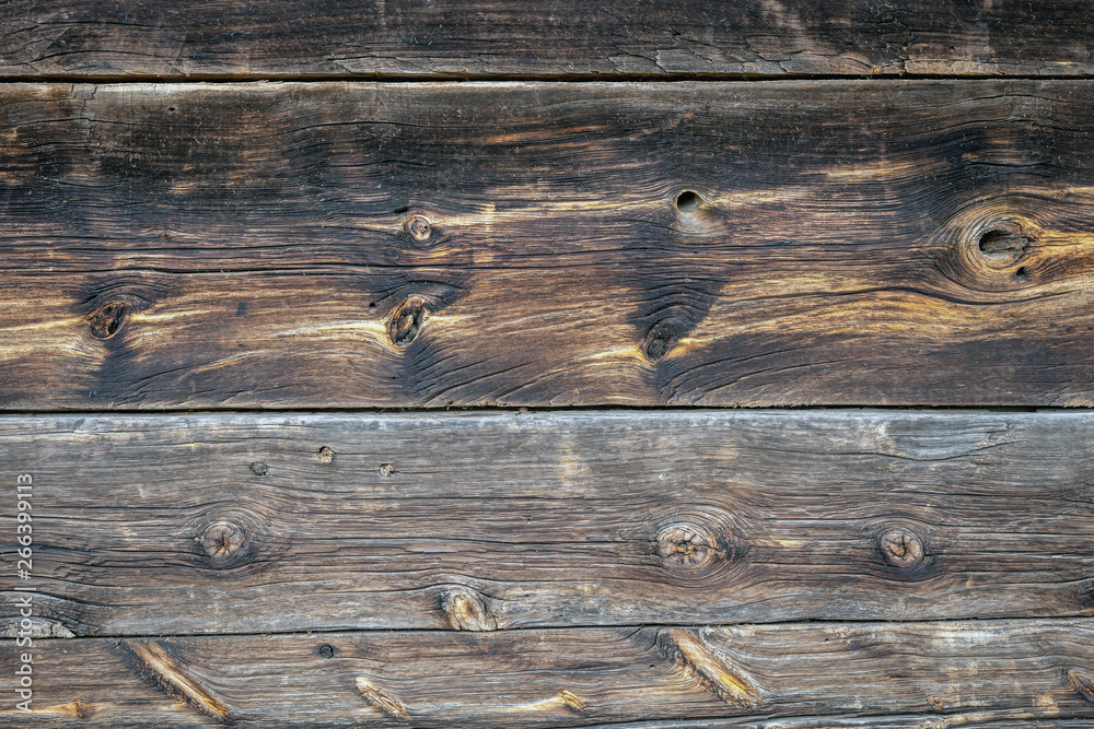 Fototapeta premium The old wood texture with natural patterns