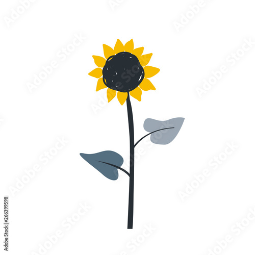 Ripe sunflower cartoon sketch with big blossom and seeds sketch. Isolated vector illustration on black background.