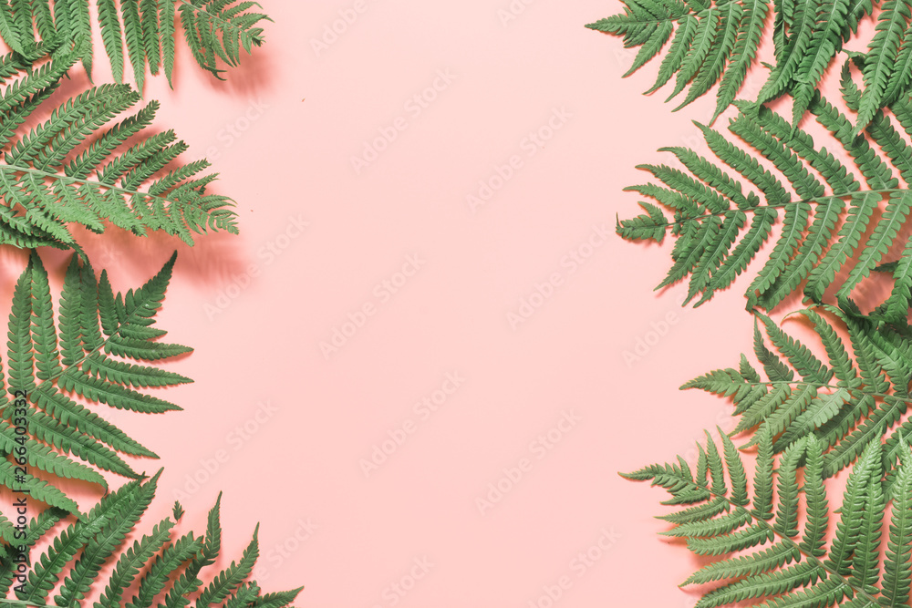Border leaves of fern on pastel pink. Top view, copy space. Summer background.