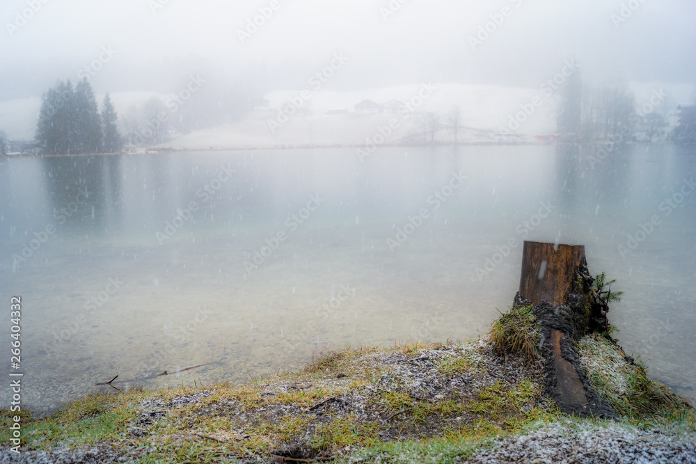 fog on the river