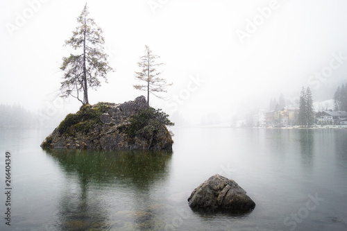 Obraz na płótnie tree on the lake w salonie