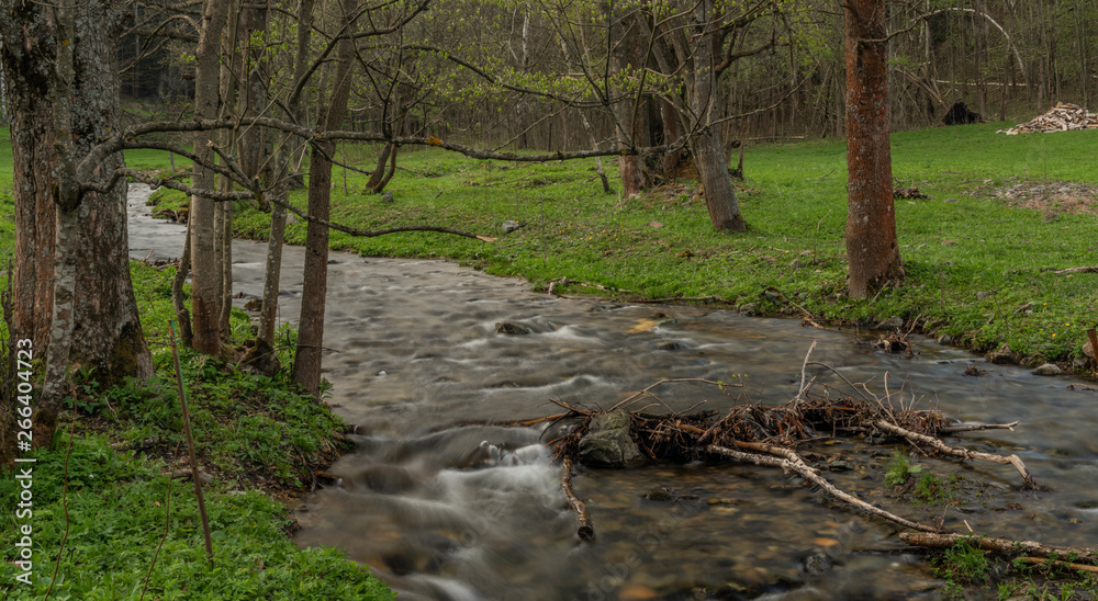 Branna river in spring cloudy evening with fresh green grass Branna river in spring cloudy evening with fresh green grass