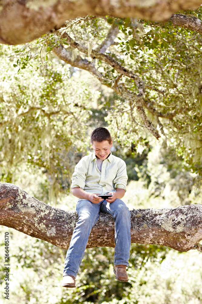 Little boy sitting in an oak tree in nature looking at his phone Little boy sitting in an oak tree in nature looking at his phone