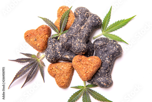 Dog treats and cannabis leaves isolated over white background - CBD and medical marijuana for pets concept photo