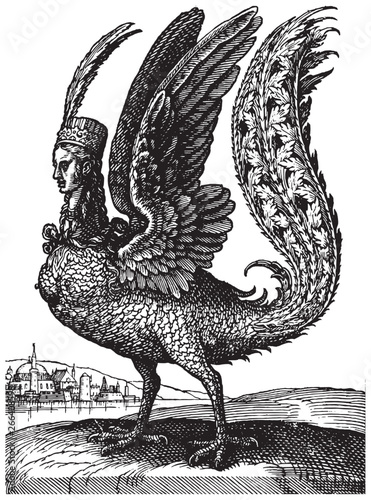 Vintage engraving of the mythological character Harpy