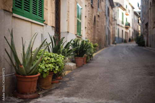a small cosy street on Mallorca, Spain; green plants in pots standing outside along walls