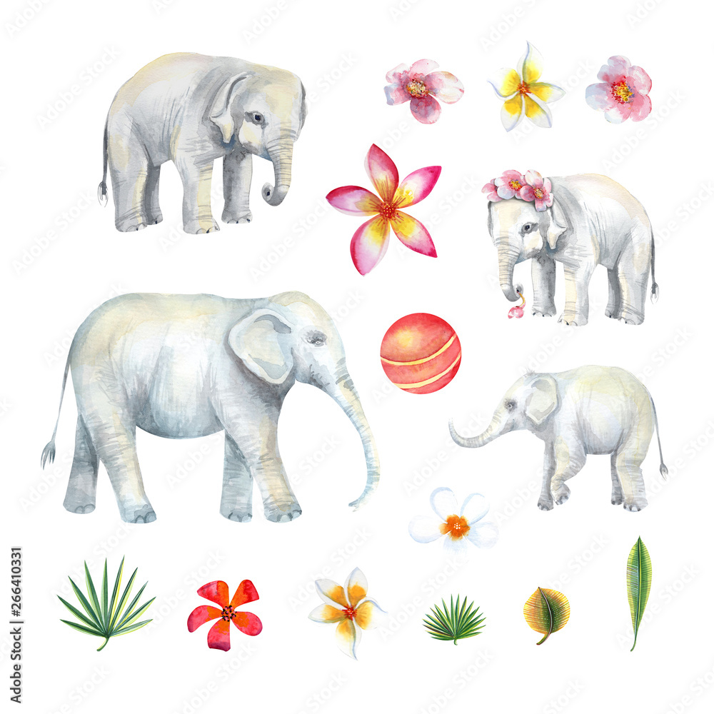 Clip art with baby elephants and adult elephant,  tropical flowers and leaves, ball. Set with 16 isolated  elements hand painted in watercolor.