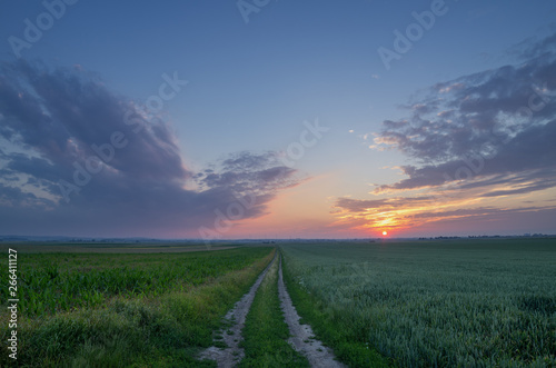 sunset over green field