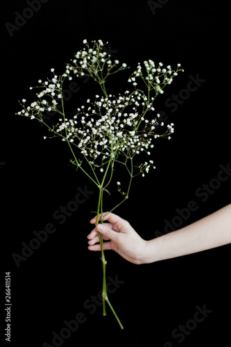 Girl holding gypsophila photo