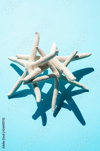 Tropical Star Fish photo