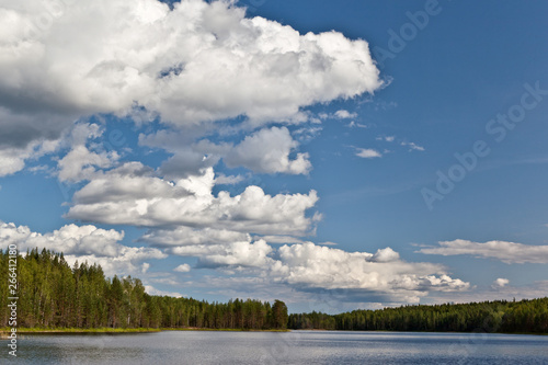 Beautiful volumetric clouds on a sunny day over a quiet forest lake