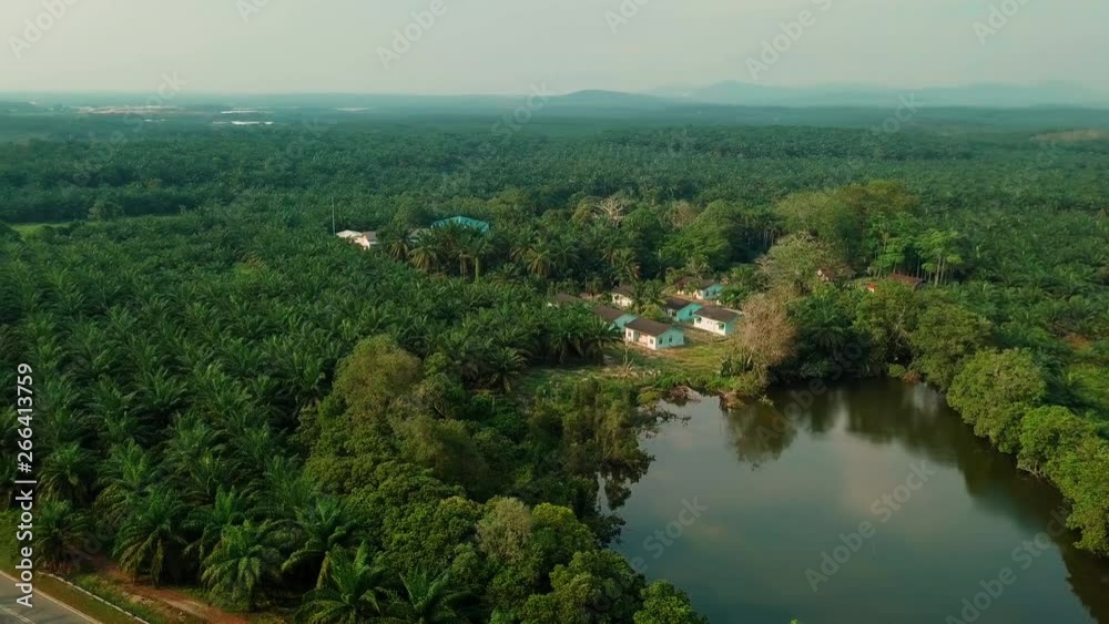 Palm oil plantation aerial view, Bakri, Malaysia Palm oil plantation aerial view, Bakri, Malaysia