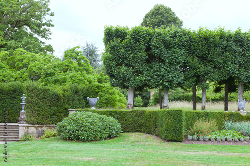 Landscaped garden trimmed hedge, leafy trees, evergreen shrubs, ornamental flower pots, on a sunny summer day in an English countryside .