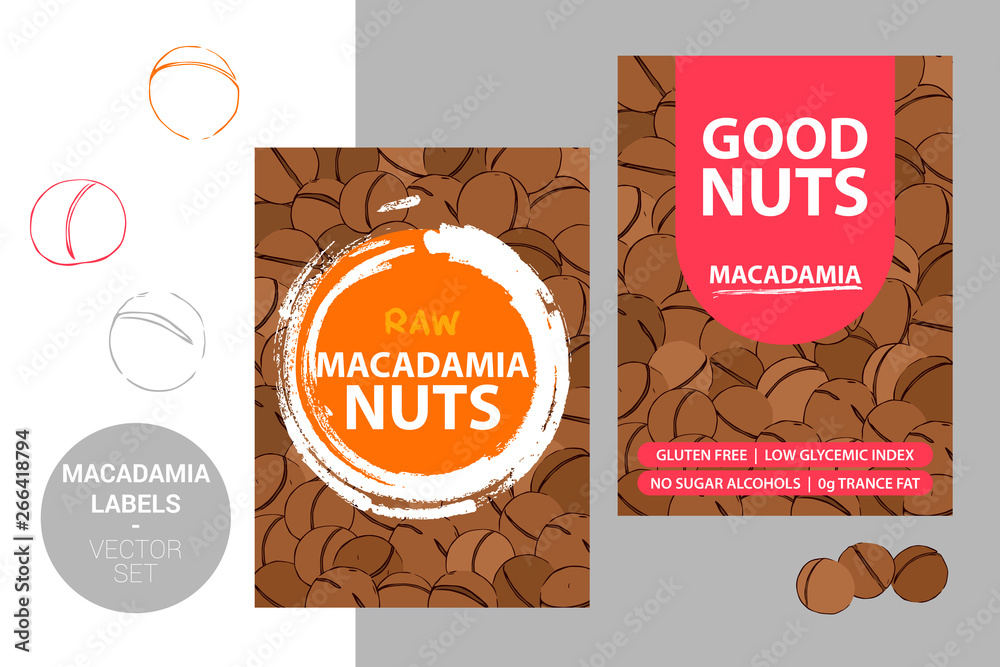 Macadamia nuts labels with brush stroke elements and cartoon drawn nut texture. product Badge