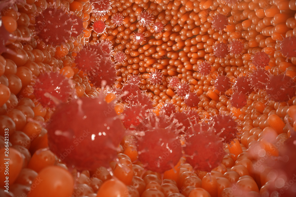 Intestinal villi. Intestine lining. Microscopic capillary. Human intestine. Concept of a healthy or diseased intestinal. Viruses or bacteria, cell infected organism, decreased immunity, 3D Rendering Intestinal villi. Intestine lining. Microscopic capillary. Human intestine. Concept of a healthy or diseased intestinal. Viruses or bacteria, cell infected organism, decreased immunity, 3D Rendering