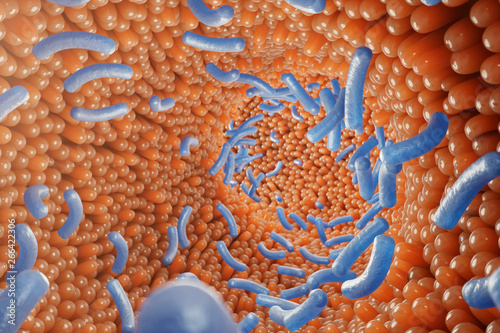 Intestinal villi, mucosa intestinal. Bacteria and microbes in intestines. Microscopic villi and capillary. Human intestine, chronic disease. Hepatitis viruses, influenza, cell infections, 3D Rendering