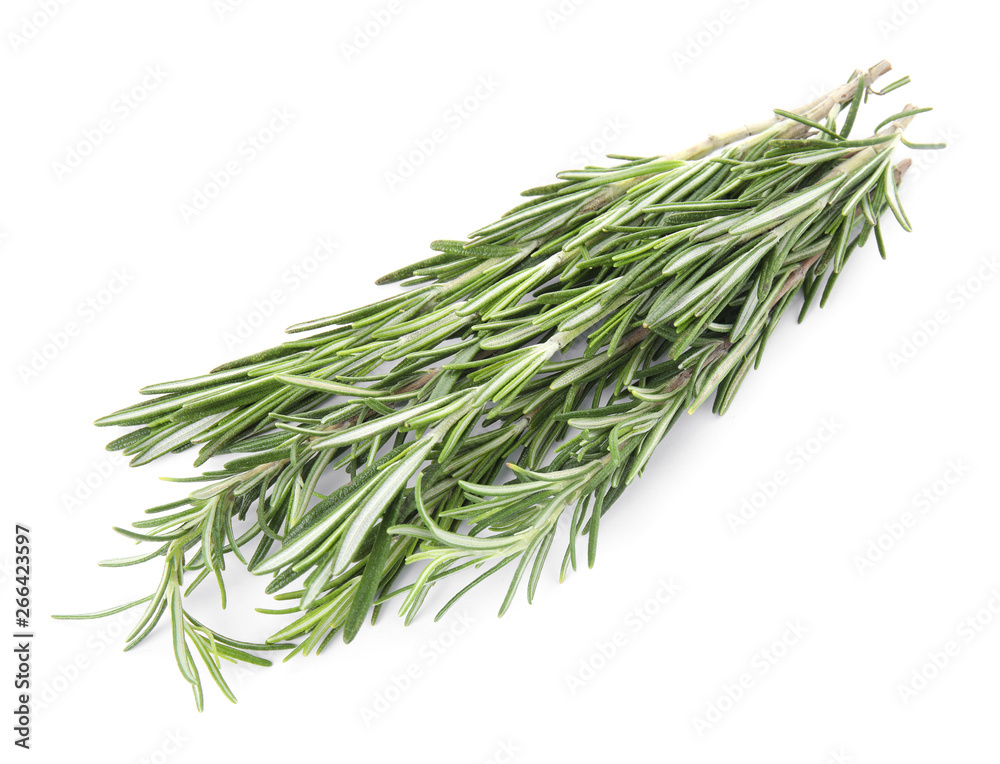 Fresh green rosemary twigs on white background Fresh green rosemary twigs on white background