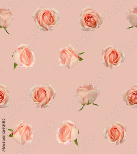 Wallpaper Mural Rose Seamless Pattern Wallpaper Background Torontodigital.ca