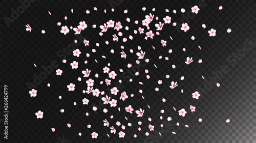 Nice Sakura Blossom Isolated Vector. Summer Falling 3d Petals Wedding Paper. Japanese Blurred Flowers Illustration. Valentine  Mother s Day Magic Nice Sakura Blossom Isolated on Black