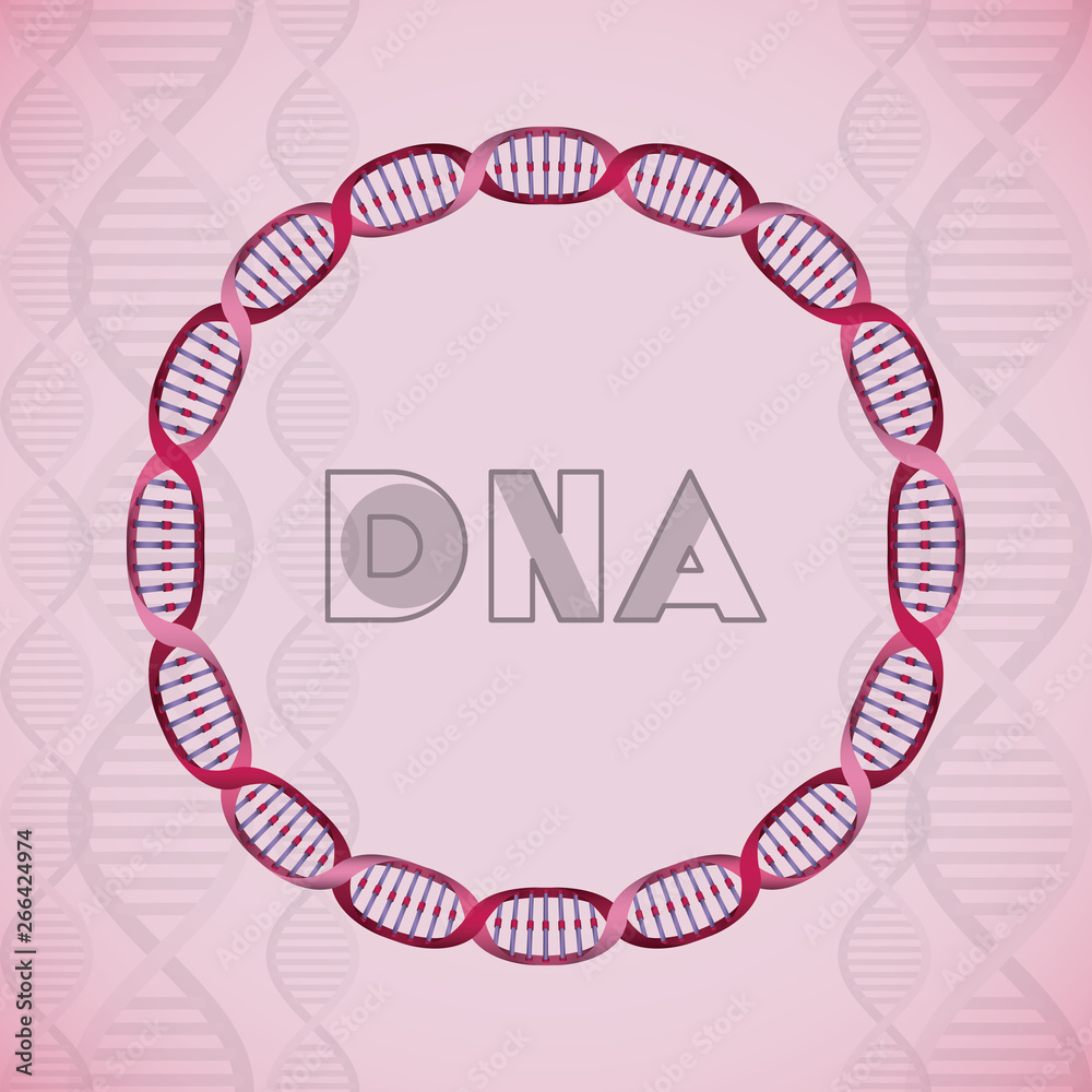dna molecule circular structure dna molecule circular structure