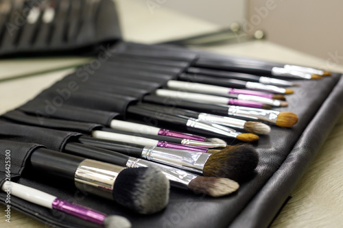 Set of cosmetic brushes in a black leather case