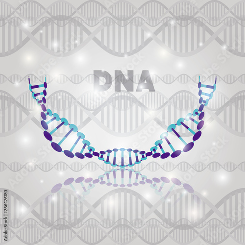 dna molecule half circle structure pattern