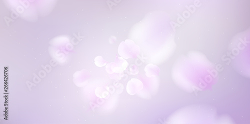 Floral spring background with purple lilac flowers