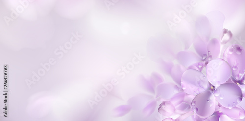 Papier peint Floral spring background with purple lilac flowers