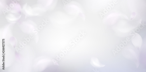 Soft spring background with purple blurred flower petals