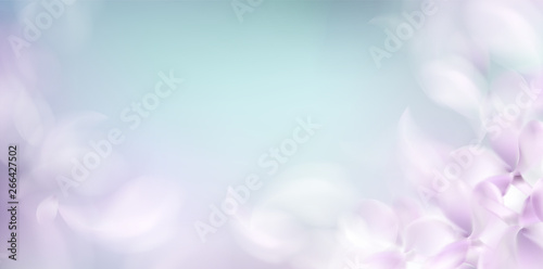 Soft spring background with purple blurred flower petals