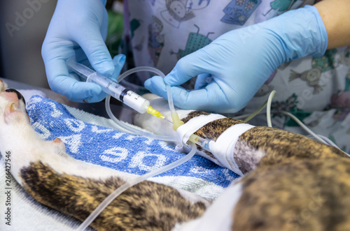 Anesthetic drug injected in an intravenous catheter