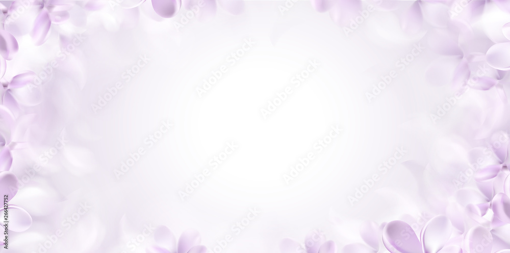 Soft spring background with purple blurred flower petals Soft spring background with purple blurred flower petals