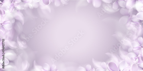 Soft spring background with purple blurred flower petals