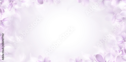 Soft spring background with purple blurred flower petals