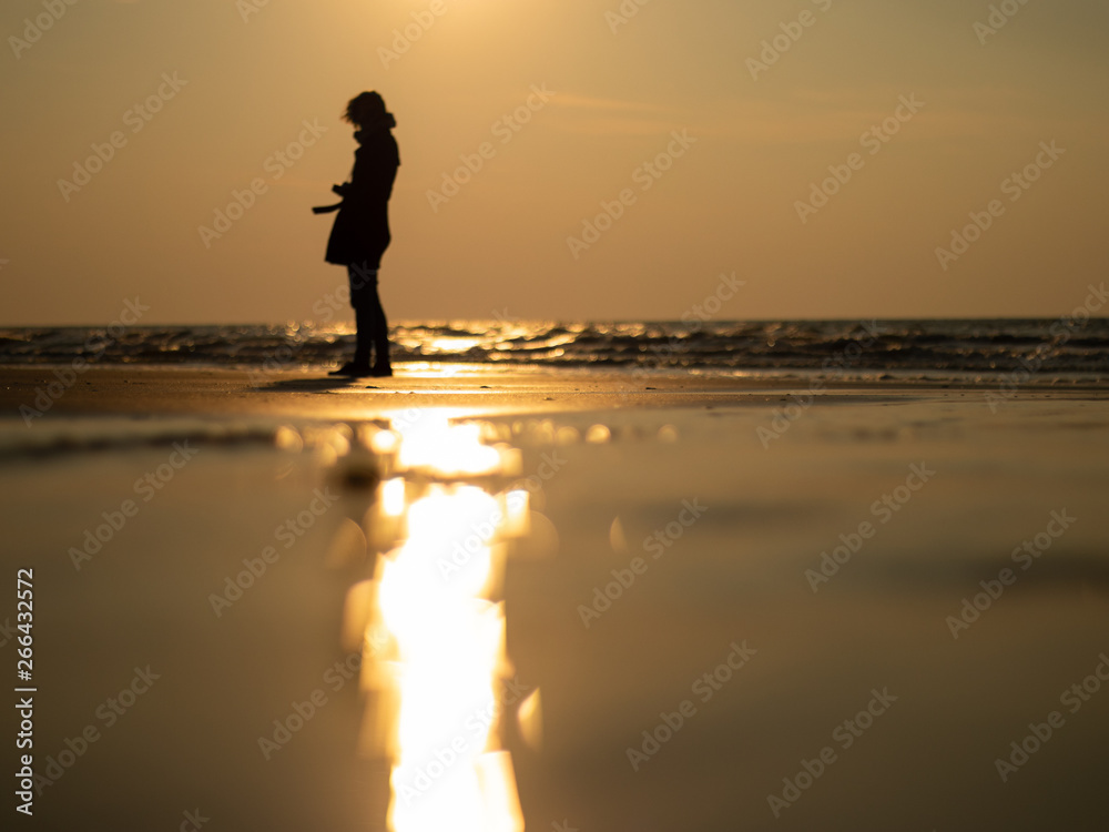 Silhouette coucher de soleil sur la plage Silhouette coucher de soleil sur la plage