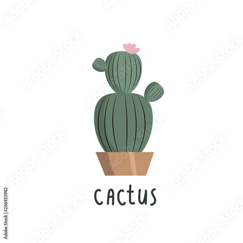 Round Green Cactus vector drawing in doodle style on white background. Cactus Freehand drawing. The inscription. Vector