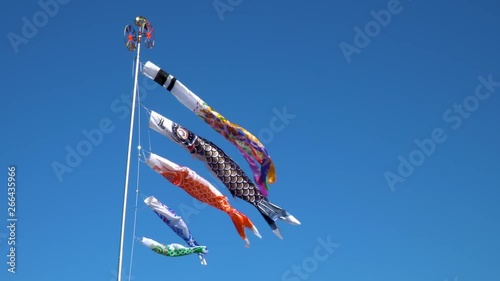 気持ちよさそうに青空を泳ぐ鯉のぼり