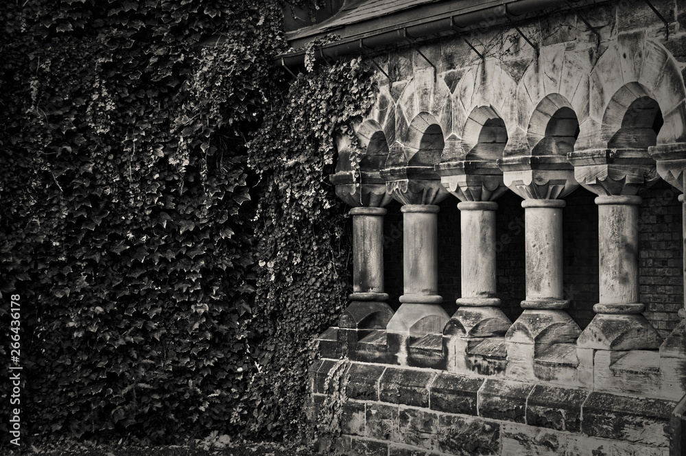 Obraz premium Toronto, Canada - 20 10 2018: Green branches and leaves of ivy covering the wall step by step conquer ancient stone colonnade of the historic Hart House building in the University of Toronto.