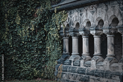 Toronto, Canada - 20 10 2018: Green branches and leaves of ivy covering the wall step by step conquer ancient stone colonnade of the historic Hart House building in the University of Toronto