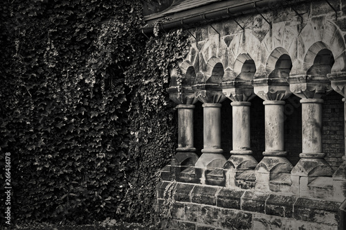 Toronto, Canada - 20 10 2018: Green branches and leaves of ivy covering the wall step by step conquer ancient stone colonnade of the historic Hart House building in the University of Toronto.