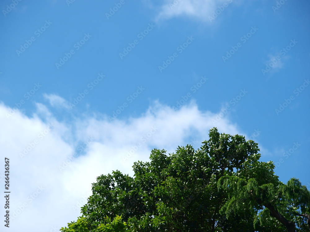 blue sky blue sky