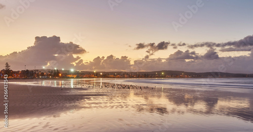 Beautiful sunset on the beach with water reflections, seagulls on the sand and windmills on background