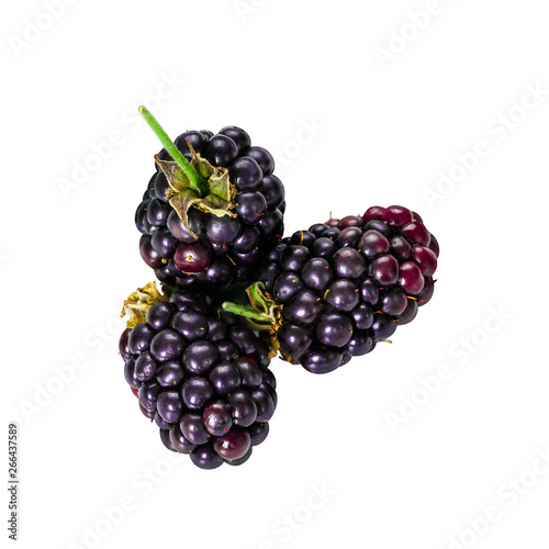 Beautiful fresh organic black blackberries on white background