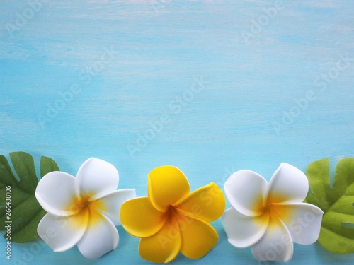 プルメリアの花のフレーム、水色背景 © poteco