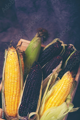 Multi-colored corn in the b...