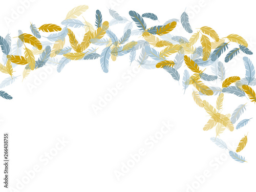Flying feather elements airy vector design.